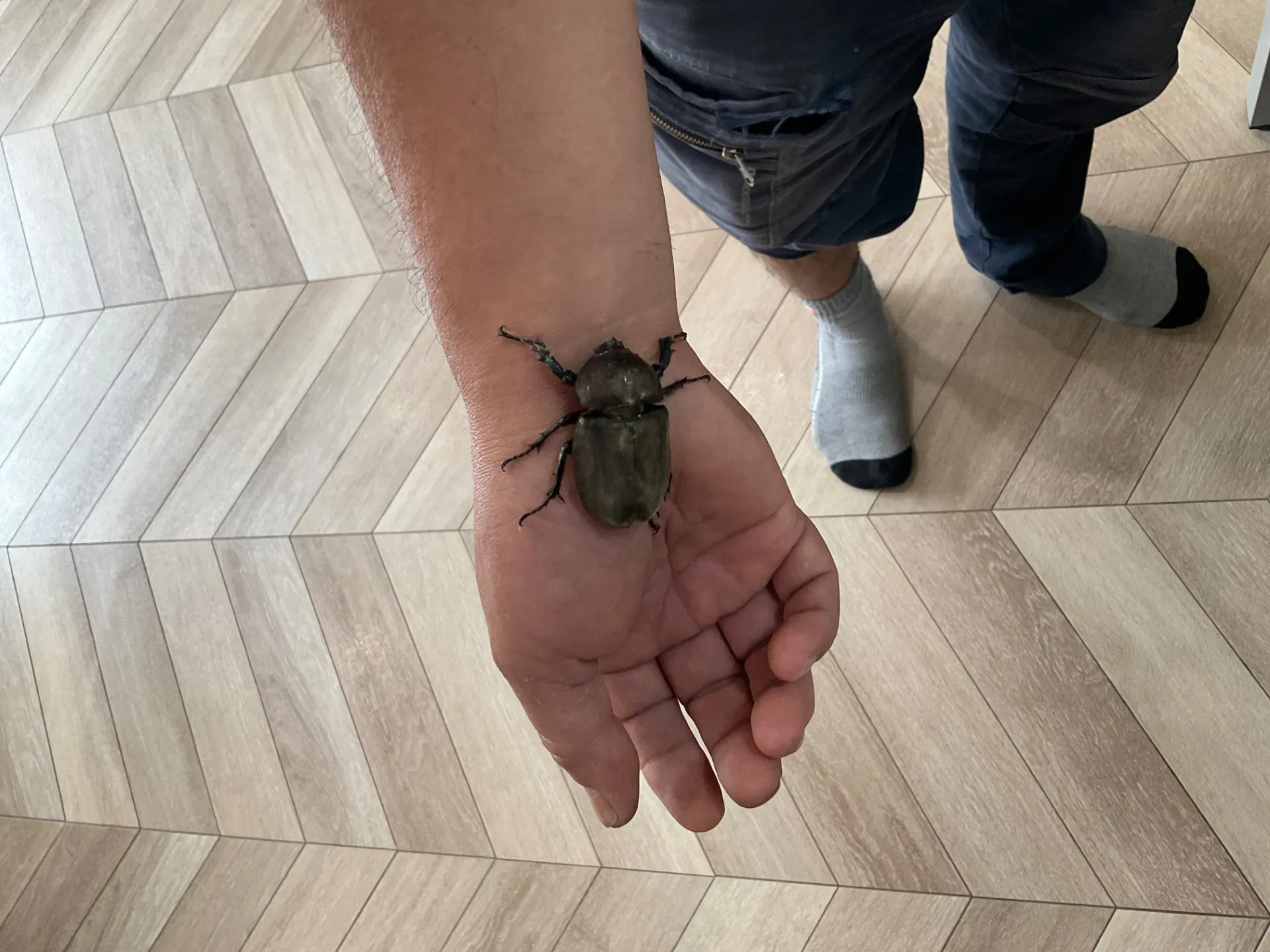 今年も無事に生まれてます😎