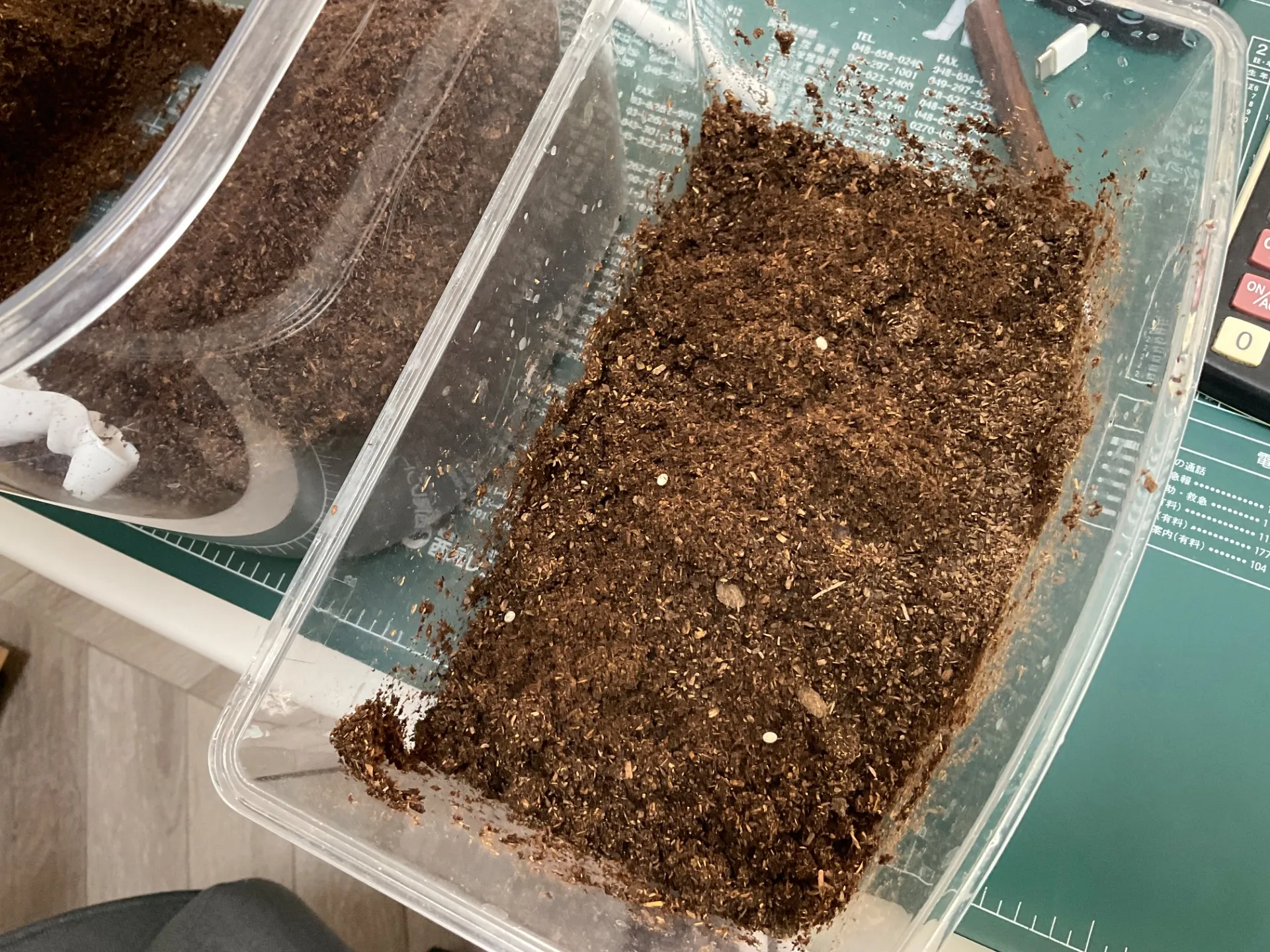 来年は、、、🧐