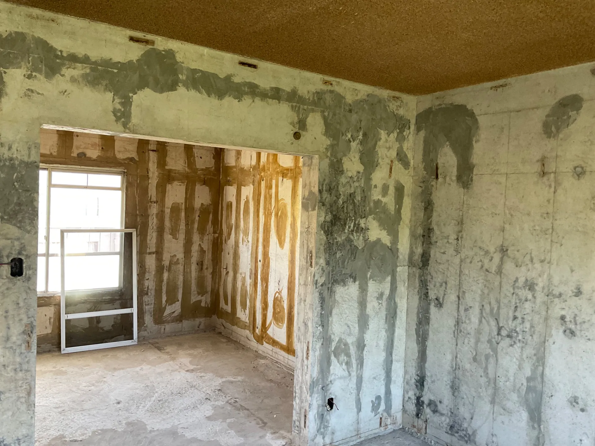 露わにすると🧐