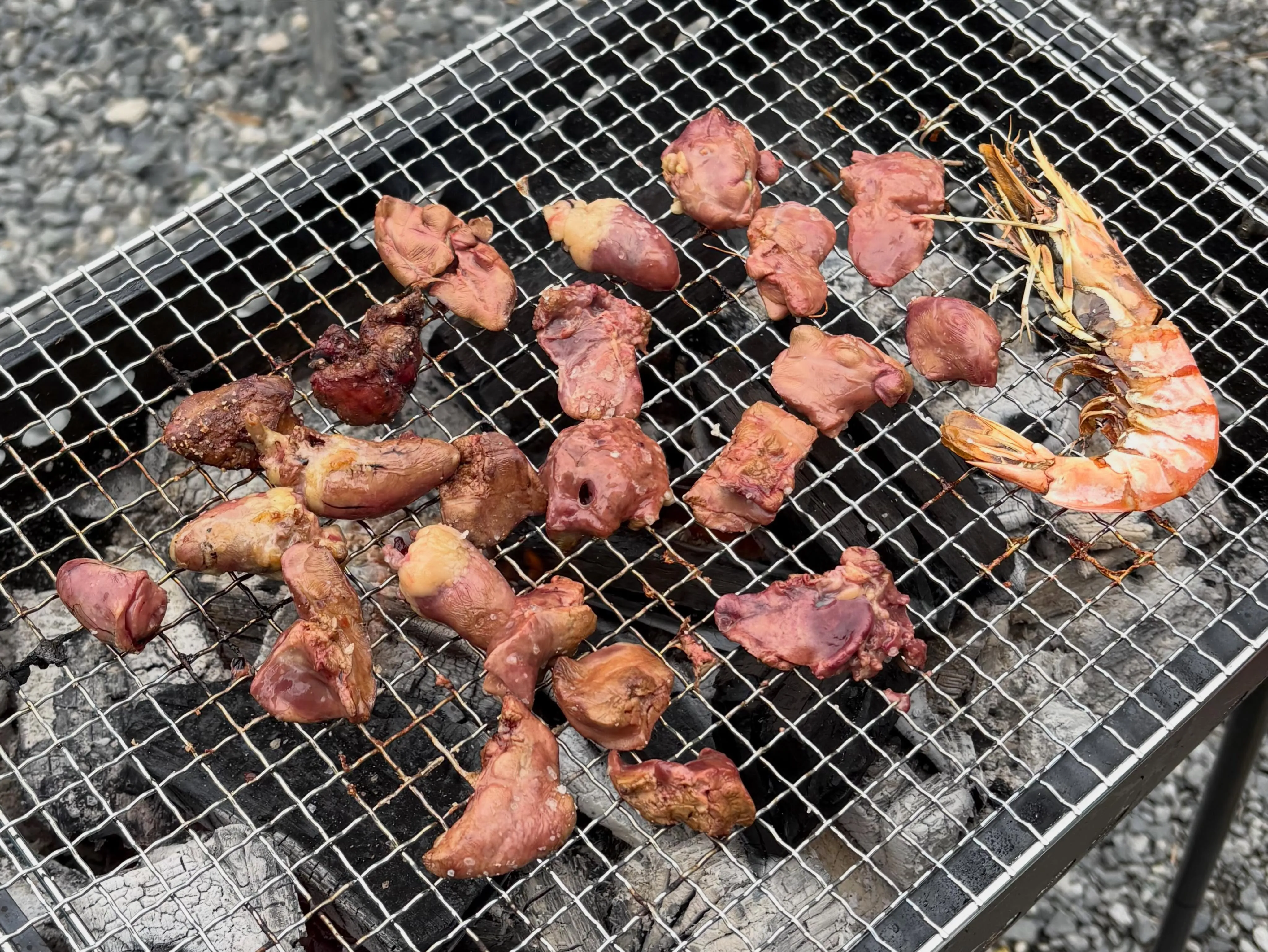 天気がイイので急遽BBQ🍖